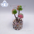 Mini plantes succulentes artificielles de bureau en pot de verre